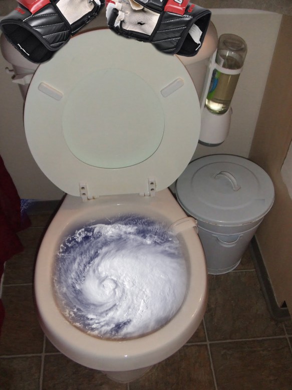 flush that hurricane
